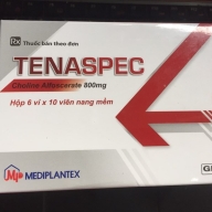 Tenaspec 800mg H 6vỉ*10 viên nang (Viên)