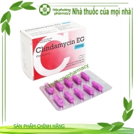Pyclin 300