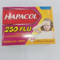 Hapacol 250