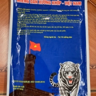 Miếng dán xương khớp việt nam túi* 10 miếng