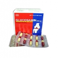 Glucosamin 250mg Hà Tây