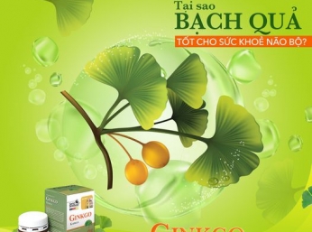 Tại sao bạch quả tốt cho sức khỏe não bộ?